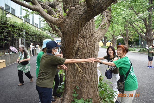 Chipko Tree of Life 27/08/2023